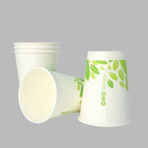 Biodegradable Paper Cup