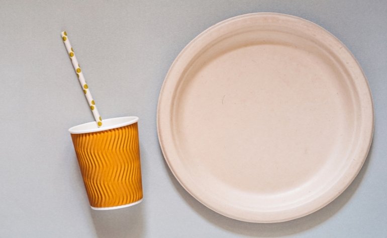 disposable paper plate